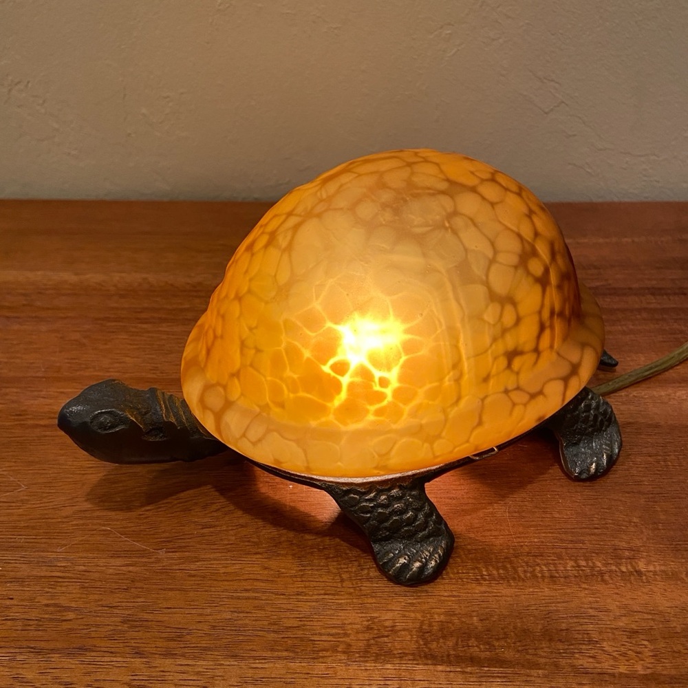 Vintage Turtle Shell lamp